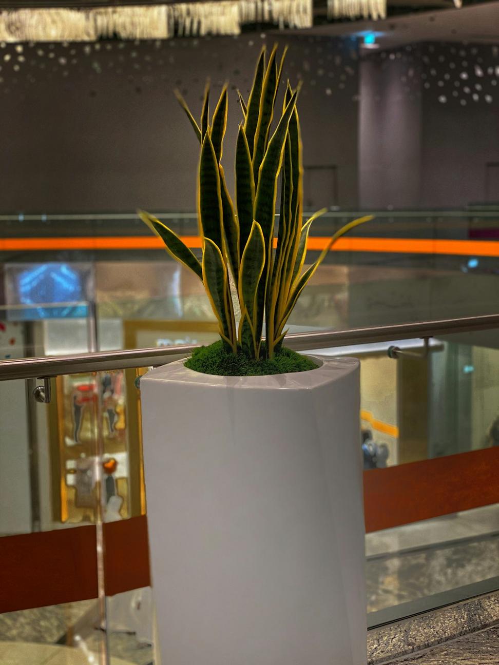 Corporate event centerpiece