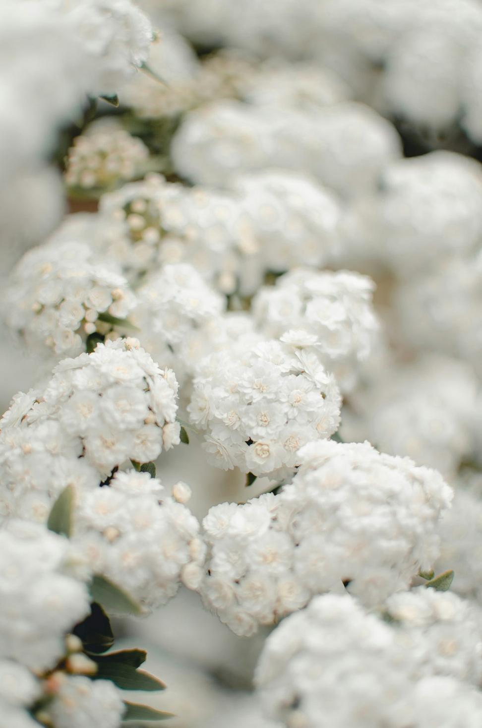 Winter wedding flowers
